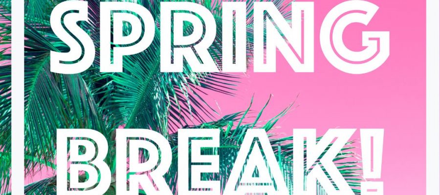 Spring Break Camp